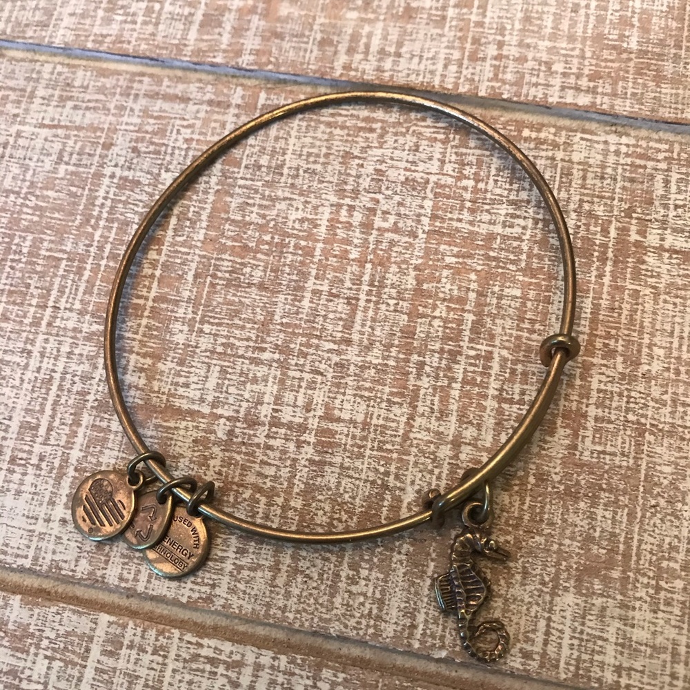 Alex and Ani Bracelet